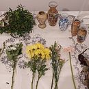 Flores de temporada Portugal. Un progetto di Interior Design, Interior design, DIY, Paesaggismo e Design floreale e vegetale di brisasbraga - 22.01.2025