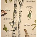 Abschlussprojekt vom Kurs *Botanische Aquarellmalerei von Naturmotiven*. Een project van  Botanische illustratie,  Beeldende kunst, Naturalistische illustratie, Schilderij y Aquarelschilderen van Marleen Utech - 24.01.2025