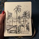 Tropical life. Traditional illustration project by Ekaterina Sushcheva - 01.24.2025