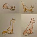Las aventuras de un coyote . % Ivette Castillejo tarafından hazırlanan Karakter Tasarımı, Çocuk İllüstras, onu, Çizim, Ve Kalem Çizimi projesi - 01.25.2025