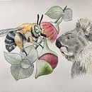 Gula koala meets threatened species - inktober 2021. Een project van Traditionele illustratie,  Tekening, Schilderij, Aquarelschilderen, Verhaallijn,  Creativiteit, Naturalistische illustratie y  Botanische illustratie van Joanne Everard - 27.01.2025