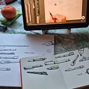 Travailler son imaginaire avec des objets . Desen, Desen în creion, Ilustrație tradițională și Caiet de schițe de Elisa Rodrigues - 01.27.2025