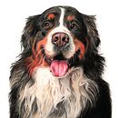 Cachorro. Un progetto di Illustrazione tradizionale e Illustrazione naturalistica di @fidalgopapelariacriativa - 27.01.2025