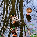 Basingstoke canal UK Ein Projekt aus dem Bereich Fotografie für Instagram und Smartphonefotografie von Cher Cowan - 28.01.2025