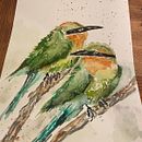 blue taile bee eater Ein Projekt aus dem Bereich Traditionelle Illustration, Aquarellmalerei, Realistische Zeichnung und Naturalistische Illustration von Emel Başdoğan - 28.01.2025