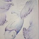 Modulaire vis. Un projet de Dessin, Dessin au cra, on, Dessin artistique, Illustration traditionnelle, Illustration naturaliste, Dessin aux cra , et ons de couleur de ammerie - 29.01.2025