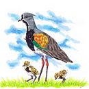 Aves de Chile. Traditional illustration project by Belén Bravo Bórquez - 02.06.2025