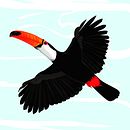 TUCANO . % Eduar Montesinos tarafından hazırlanan Dijital İllüstras, on, Çocuk İllüstras, onu, Vektör İllüstras, Ve onu projesi - 02.08.2025