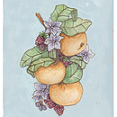 my course work . Een project van  Acr, lschilderij, Traditionele illustratie, Aquarelschilderen,  Botanische illustratie, Tekenen met kleurpotloden y  Illustratie met inkt van Wendy Johnston - 09.02.2025