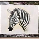 My African Zebra. Projekt z dziedziny Malowanie akwarelą użytkownika Marilyn Allen - 10.02.2025