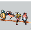 Birds on a branch. Een project van Traditionele illustratie, Aquarelschilderen, Realistische tekening y Naturalistische illustratie van Wendy Johnston - 16.02.2025
