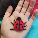 Ladybug felting stop-motion animation . Stop Motion, Needle Felting, and Character Animation project by Astrid Franco - 02.17.2025