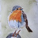 Robin painted in watercolor. Traditional illustration, and Watercolor Painting project by Sissel - 02.18.2025