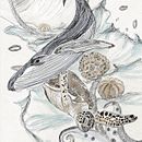 Kugelschreiberzeichnung SEA. Drawing, Realistic Drawing, Traditional illustration, and Naturalistic Illustration project by Nicole Sillner - 02.20.2025