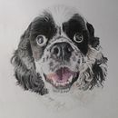 Brunito. Ein Projekt aus dem Bereich Traditionelle Illustration und Naturalistische Illustration von pepascrap - 20.02.2025