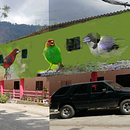 Bocetaje Mural Pajaros. Un proyecto de Pintura de Issa Roncallo - 21.02.2025