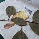 Um bem-te-vi. Embroider, Fine Arts, Collage, and Textile Design project by sarahpeixe - 02.25.2025