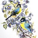 Doğanın hafifliği . % monica_marelli tarafından hazırlanan Sulubo, Ve a Resim projesi - 02.26.2025