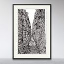 Illustrez vos excursions à l'encre . Ilustrație tradițională de Clement RT - 03.02.2025