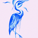 Great blue heron. Digital Illustration project by Joaquín Góngora Pedrero - 03.02.2025