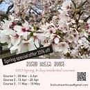 8 Day residential courses in Japan. Un proyecto de Artesanía, Ilustración tradicional, Dibujo, Bellas Artes, Pintura, Creatividad e Ilustración con tinta de Koshu (Akemi Lucas) - 02.03.2025
