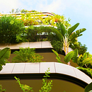 Reconectando con la naturaleza vas a lograr disminuir tu estrés. Un projet de Communication, Cop, writing, Marketing, Marketing de contenu, Stor , et telling de Yesica Gabriela Garcia - 03.03.2025