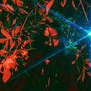 Exploración Creativa de la Iluminación con Flash de Mano: Tres Escenarios y Técnicas de Edición . % Jess Aguirre tarafından hazırlanan Stüd, o Fotoğrafçılığı, Dijital Fotoğrafçılık, Fotoğrafik A, dınlatma, Ve Fotoğrafçılık projesi - 03.04.2025