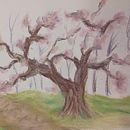 estudi d'arbres. Drawing project by loreenaagomeezz - 03.04.2025