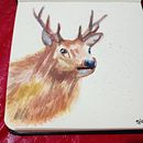 Animales expresivos en Acuarela . Realistic Drawing, Traditional illustration, Naturalistic Illustration, and Watercolor Painting project by Rossy Merino - 03.06.2025