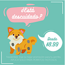 Estilo Pata. Un progetto di Pubblicità, Content marketing e Creatività di Johanna Diaz - 08.03.2025