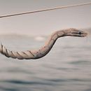 Cuerda peligrosa. Un progetto di Fotomontaggio, Composizione fotografica, Ritocco fotografico e Matte painting di Sandra - 08.03.2025