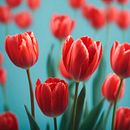 Práctica 1. Creativit project by eli_rh91 - 03.09.2025