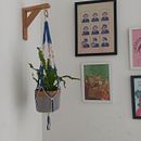 Projeto do curso Macramé: Crie Suportes de Plantas Únicos e Decorativos. Een project van Macramé van Suellen Ribeiro - 12.03.2025