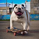 Pleno y feliz. Fotografia, Fotografia de retrato, Fotografia Lifest, le, Fotografia para Instagram, e Fotografia documental projeto de Lynnette Goche Silva - 15.03.2025