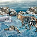 Accidente en la Nieve. Un proyecto de Fotografía, Post-producción fotográfica		, Retoque fotográfico, Fotografía artística, Composición fotográfica, Fotomontaje y VFX de Alex Guamán - 16.03.2025