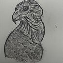 My day with the birds . Projekt z dziedziny  R, sunek, R, sunek anatomiczn, R, sunek ołówkiem, Portret, Sketchbook i Sketching użytkownika Cim Dhiman - 16.03.2025