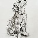 animal illustration with charcoal and ink. Un progetto di Disegno, Illustrazione con inchiostro, Illustrazione naturalistica e Belle arti di kathrynga - 17.03.2025