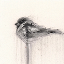 Expressive Drawing with Charcoal. Un progetto di Disegno, Belle arti, Disegno di ritratti e Illustrazione naturalistica di kathrynga - 17.03.2025