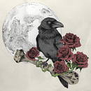 El cuervo y la rosa - Composición a boligrafo. Drawing, Realistic Drawing, Traditional illustration, and Naturalistic Illustration project by Sara Fuerte - 03.22.2025