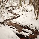 Photography - Winter. Een project van Fotografie, Digitale fotografie, Buitenfotografie, Lifest y le fotografie van janajentkus - 24.03.2025