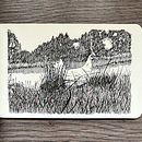 Petit carnet. Un progetto di Disegno, Illustrazione tradizionale, Illustrazione con inchiostro, Sketchbook e Bozzetti di Jeanne Macheret - 27.03.2025
