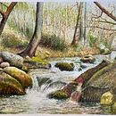 Río Majaceite. Un progetto di Illustrazione naturalistica, Pittura, Bozzetti, Pittura ad acquerello e Belle arti di José Berjano Gil - 29.03.2025