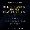 Liderazgo Praxeologico . Een project van SEO, Non-fictie schrijven, Merkstrategie, Management En Productiviteit y  Creativiteit van Cristhian Diaz - 30.03.2025