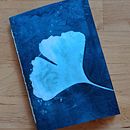 Cianotipos . Een project van Craft,  Beeldende kunst, Printen,  Analoge fotografie y DIY van ktdimi - 01.04.2025