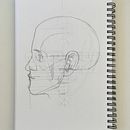 Samples of my studies. Un progetto di Belle arti, Disegno, Disegno a matita, Disegno realistico, Disegno anatomico e Bozzetti di Johanna - 03.04.2025