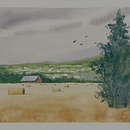 Barn with hay field. Artes plásticas, Pintura, e Pintura em aquarela projeto de bushra_albastaki - 05.04.2025