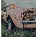 Rusty Pink Ein Projekt aus dem Bereich Bildende Künste, Malerei, Aquarellmalerei und Traditionelle Illustration von Eli Candiani - 06.04.2025