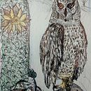 Owl . Menggambar, Gambar Realistis, Ilustrasi tradisional & Ilustrasi Naturalistik proyek oleh giovza - 04.11.2025