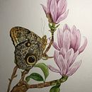 Ilustración Naturalista. Ilustração botânica, Pintura guache, Ilustração naturalista, Pintura, Pintura em aquarela, e Artes plásticas projeto de Citlalli Fernández Funes - 15.04.2025