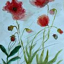 Amapolas. Un proyecto de Ilustración botánica, Ilustración tradicional, Pintura y Pintura a la acuarela de Maika Mora - 17.04.2025